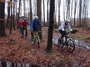 Waldtour 010